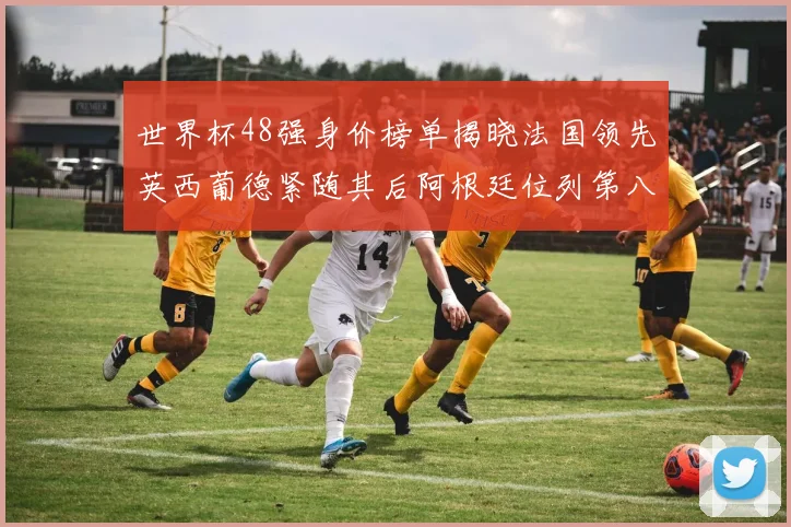 世界杯48强身价榜单揭晓法国领先英西葡德紧随其后阿根廷位列第八