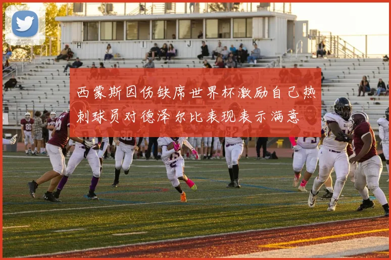 西蒙斯因伤缺席世界杯激励自己热刺球员对德泽尔比表现表示满意